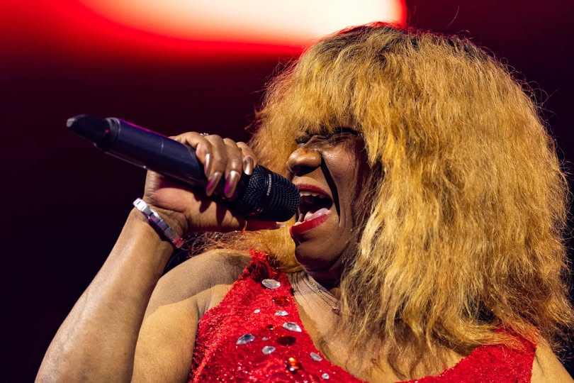 Hildegard Smiet als Tina Turner Tribute tijdens Dicky Woodstock 2026