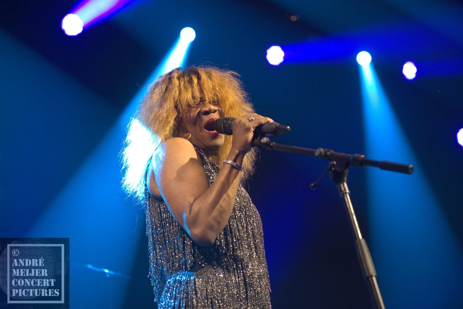 Hildegard Smiet live als Tina Turner tribute met Hot Leggs